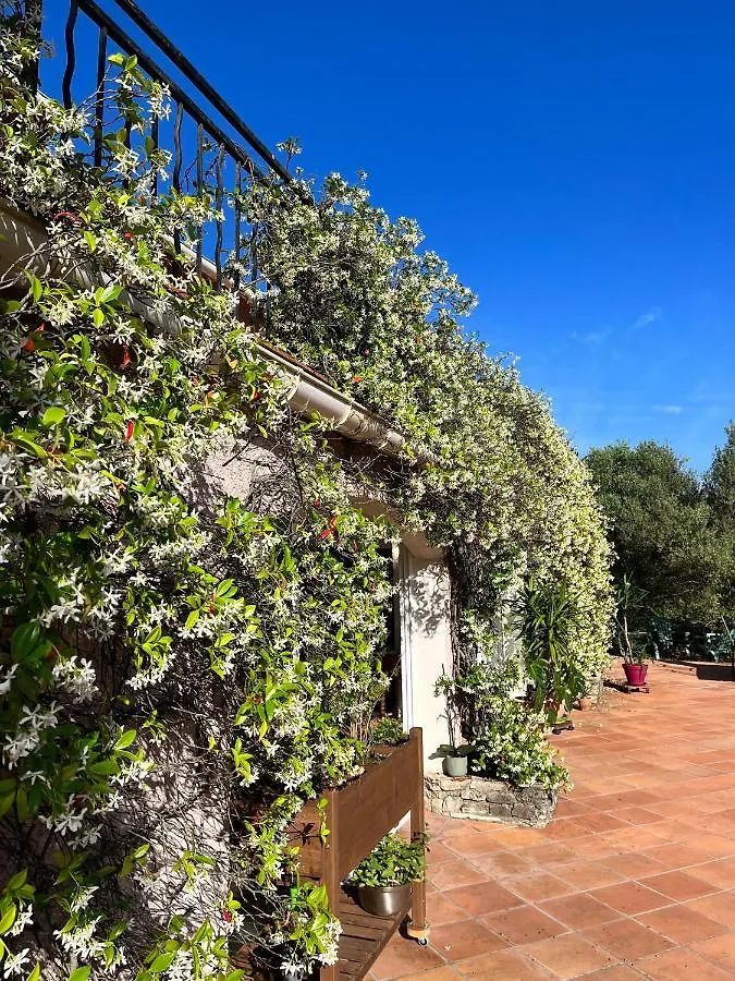 Natur & Jasmin Chambres D'Hotes Naturistes En Provence Lorgues